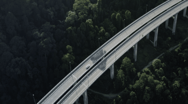 Elevated highway cutting through dense green forest